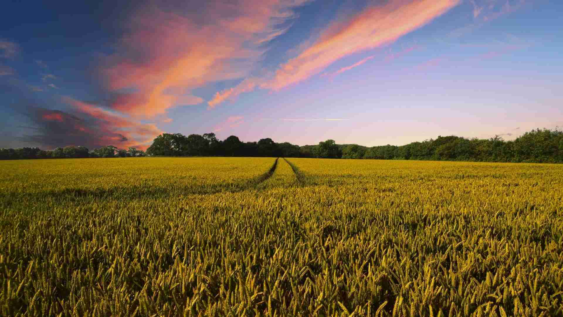 How to start a farm_Blog featured image