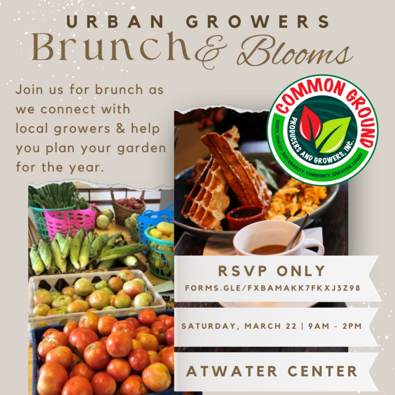 Brunch and Bloom 2025