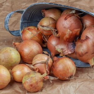 onion, bag, jute, paper, fresh, food, kitchen, farm, bio, strict, vegetables, country, nature, power, vitamins, naturam wege, ecology, village, bowl, garden, the environment