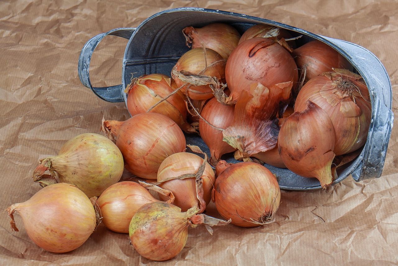 onion, bag, jute, paper, fresh, food, kitchen, farm, bio, strict, vegetables, country, nature, power, vitamins, naturam wege, ecology, village, bowl, garden, the environment