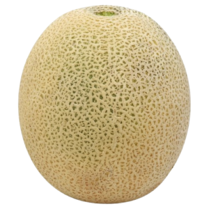 Cantaloupe (Small)