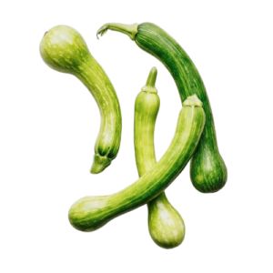 Center-cut Squash