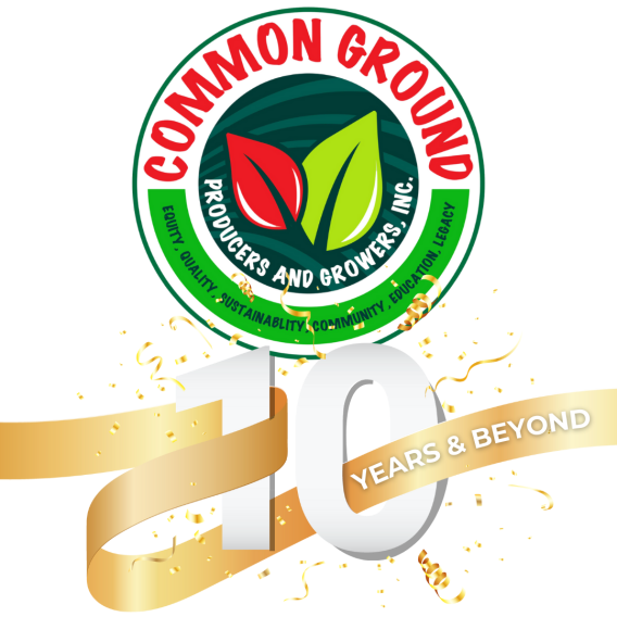 10yr Logo No BG